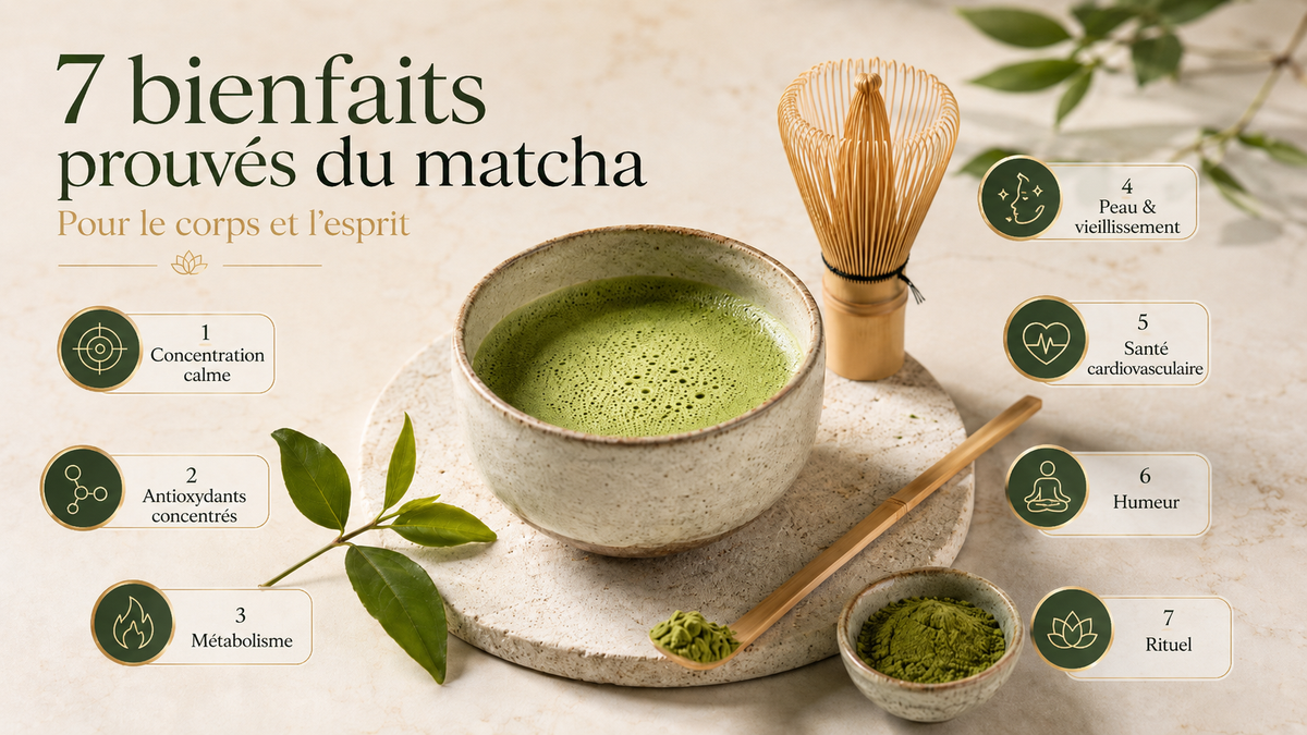 Matcha japonais : goût, préparation & rituel au quotidien
